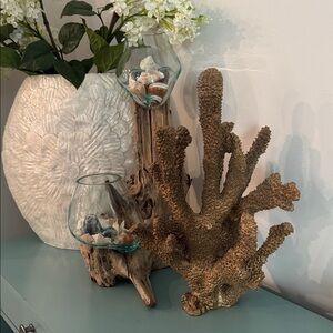 Coral Decor